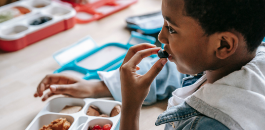 A importância da alimentação escolar 